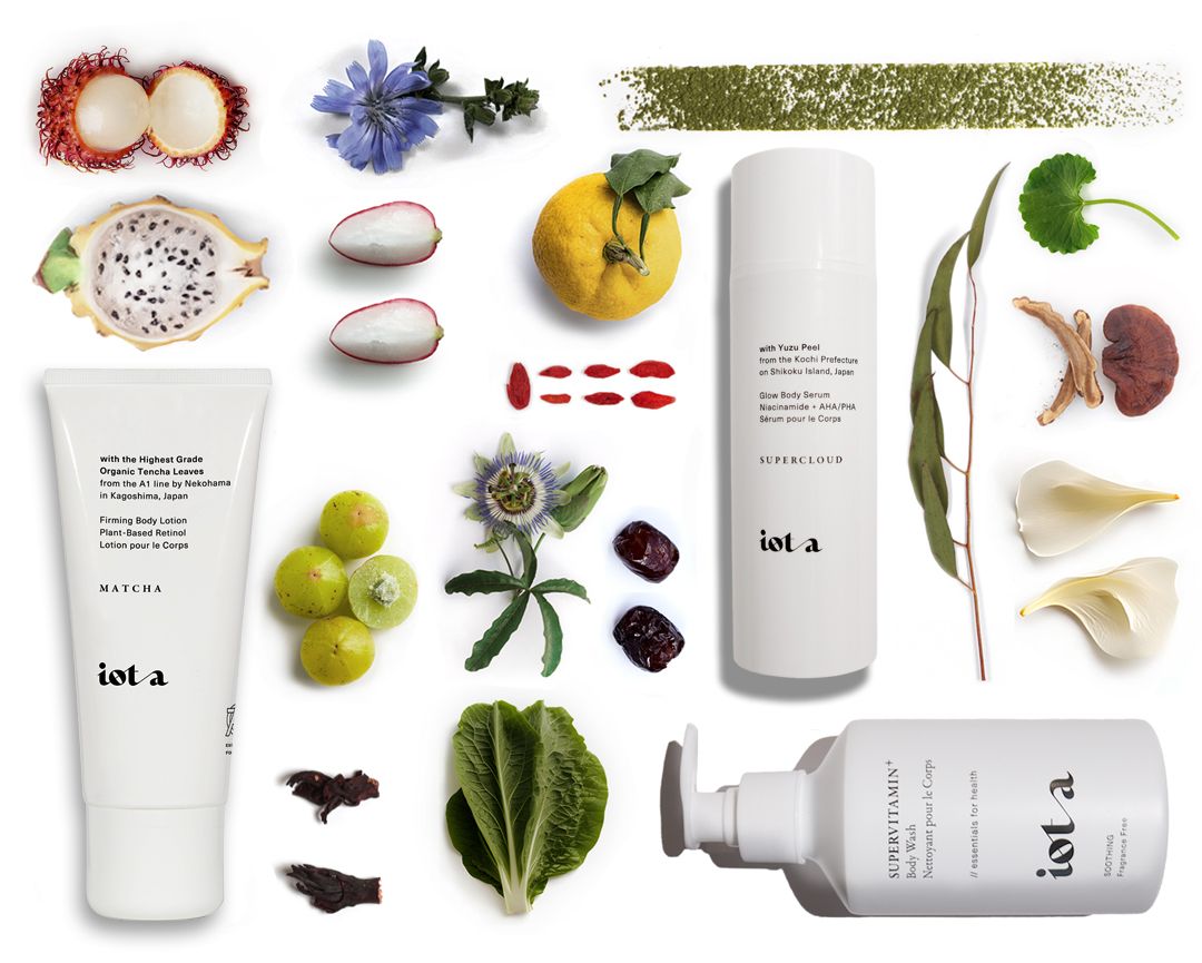 ingredient flat lay shea butter aloe glycerin